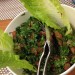 Sultan_Brahim_Maameltein_Lebanon9