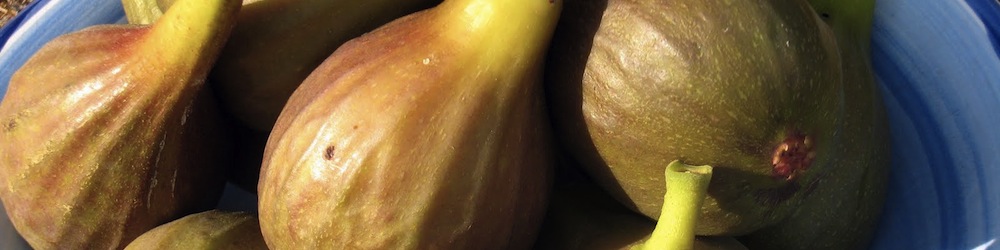 Increase Your Sexuality with Food 104: Figs
