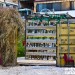 Pop_Up_Junk_Yard_Mar_Mikhael_Restaurant4