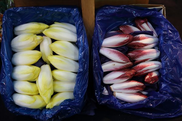 Tropical_Fruits_Liban_Fruits_Lebanon24