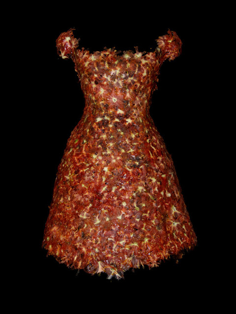 design-fetish-yeonju-sung-clothes-made-of-food-7