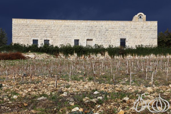 Ixsir_Winery_Batroun_Lebanon06