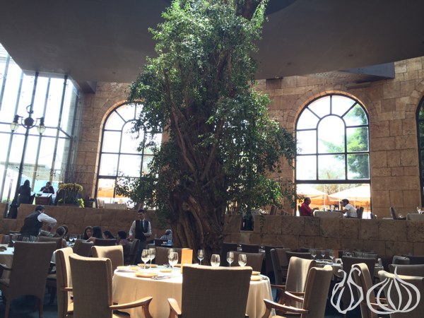 Babel_Dbayeh_Restaurant_Review37