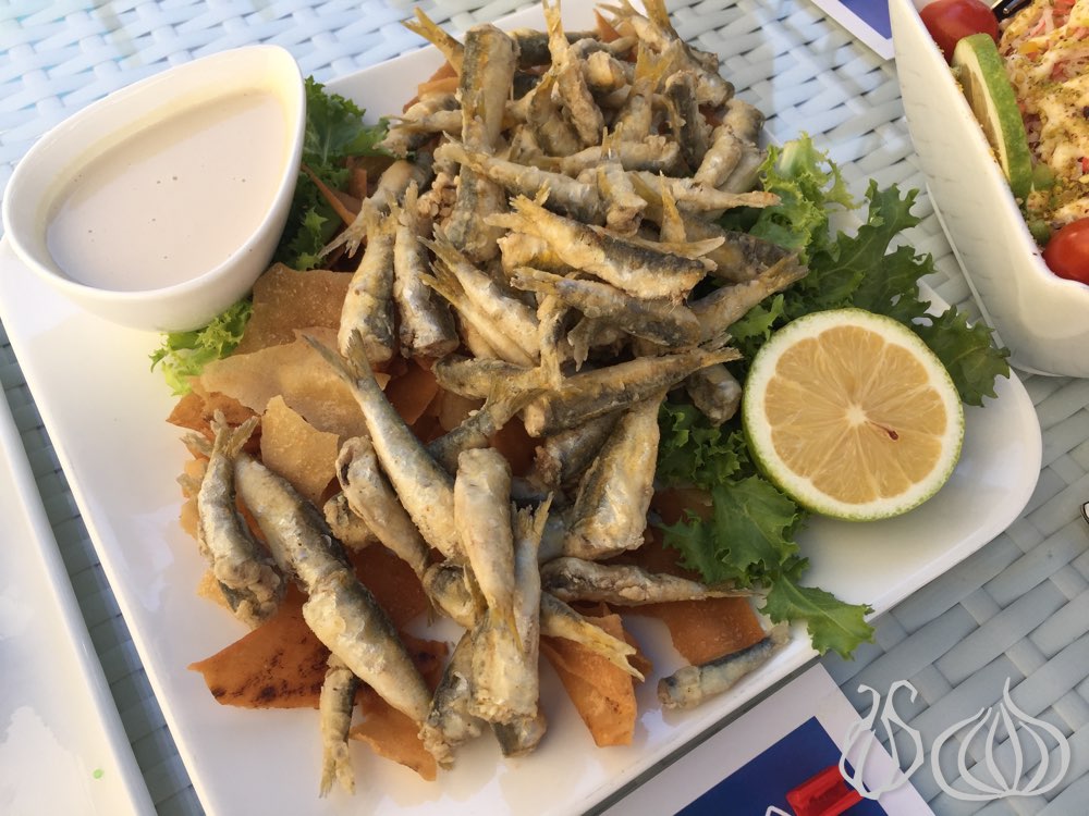 kraydes-seafood-restaurant-aley362015-09-26-09-49-02