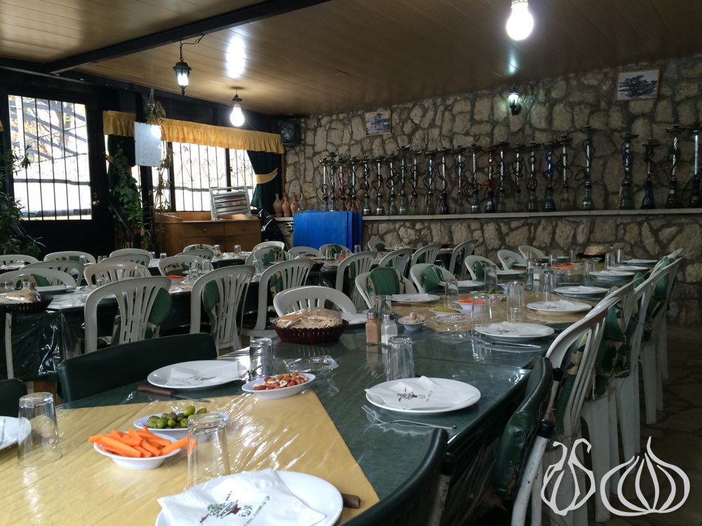 arze-restaurant-cedars-lebanon242014-11-04-02-38-36