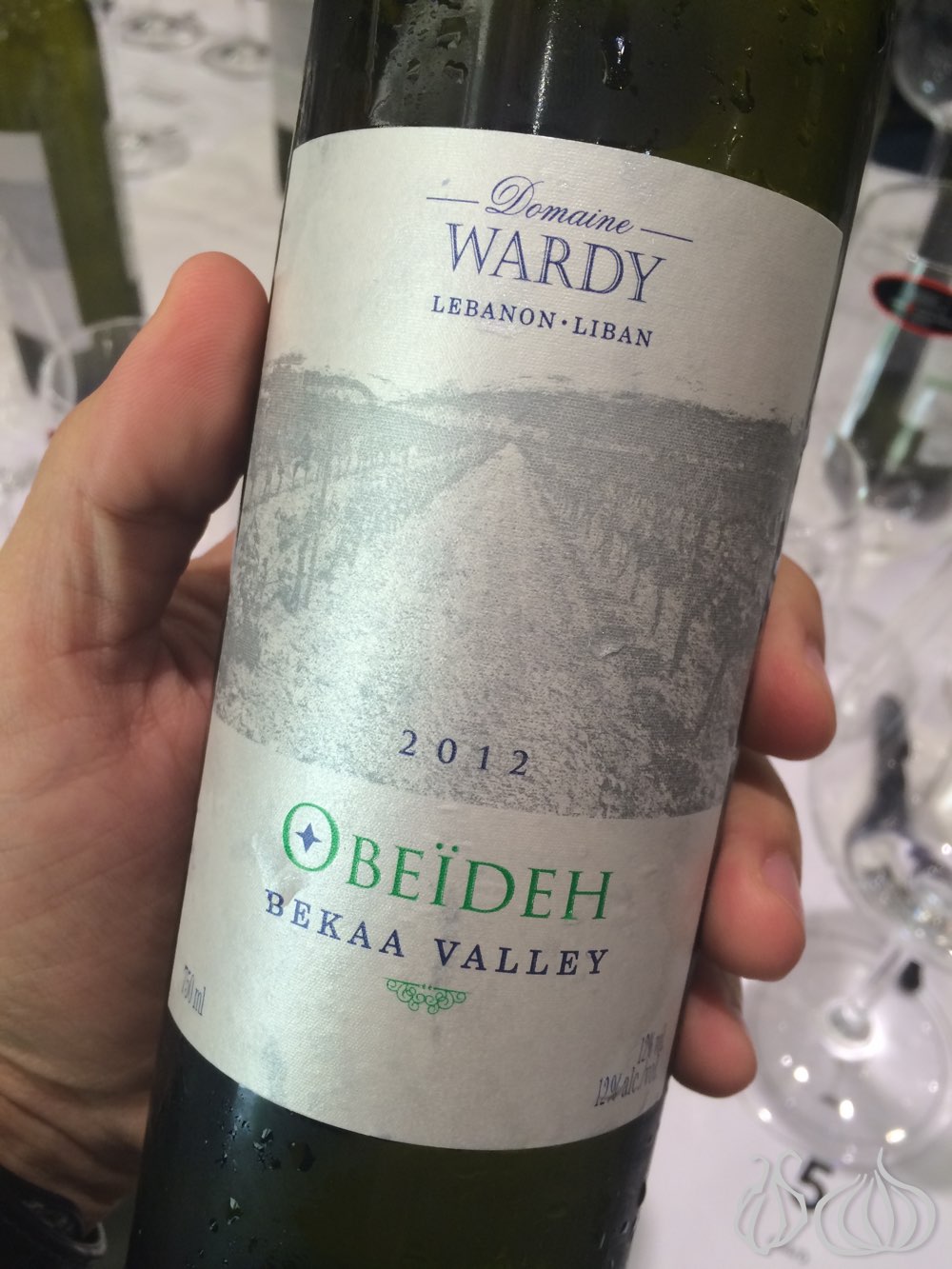 domaine-wardy-obeideh-riedel-riesling-glass122014-11-10-10-52-14