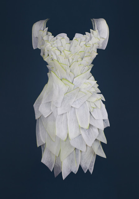 design-fetish-yeonju-sung-clothes-made-of-food-5